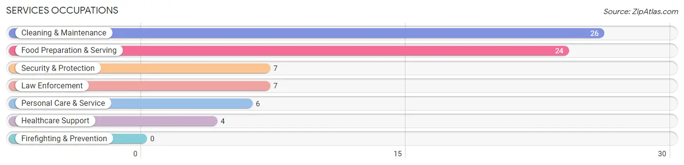 Services Occupations in Zip Code 55312