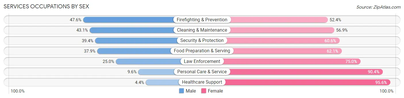 Services Occupations by Sex in Zip Code 55313