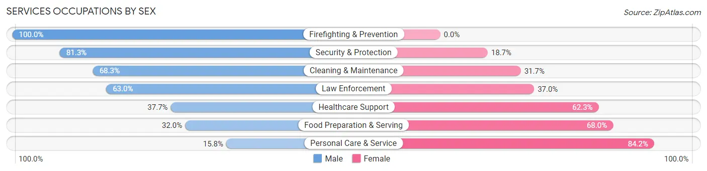 Services Occupations by Sex in Zip Code 55317