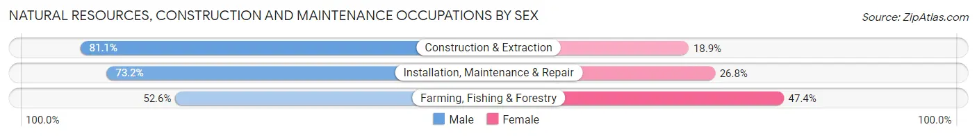 Natural Resources, Construction and Maintenance Occupations by Sex in Zip Code 55331