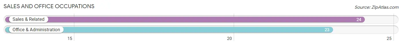 Sales and Office Occupations in Zip Code 55333
