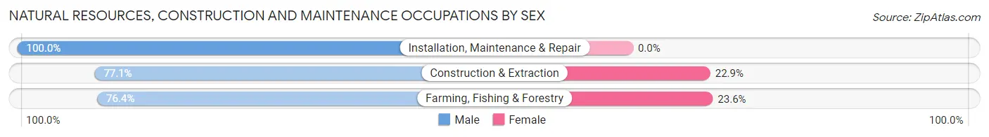 Natural Resources, Construction and Maintenance Occupations by Sex in Zip Code 55334