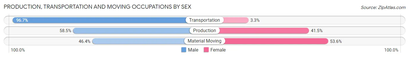 Production, Transportation and Moving Occupations by Sex in Zip Code 55336