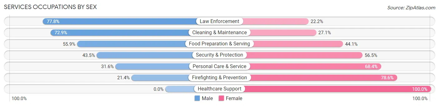 Services Occupations by Sex in Zip Code 55336