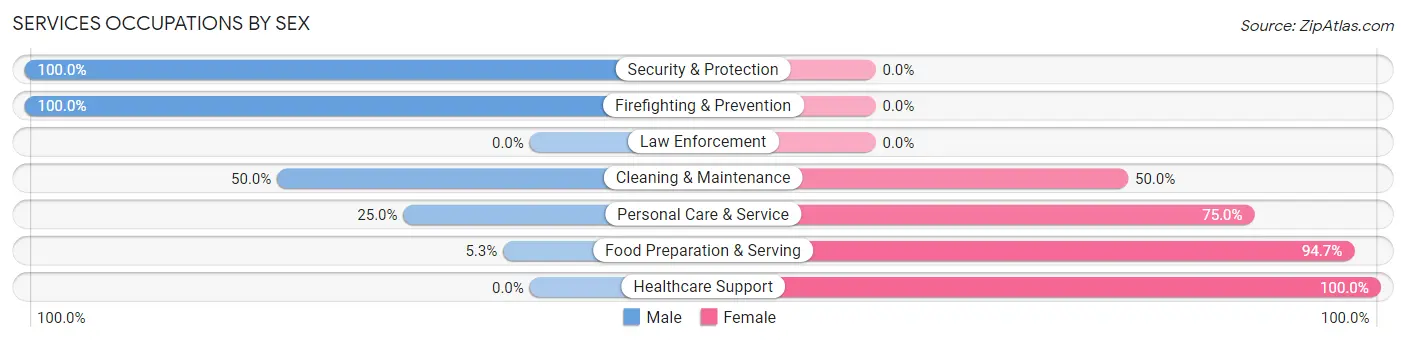 Services Occupations by Sex in Zip Code 55338