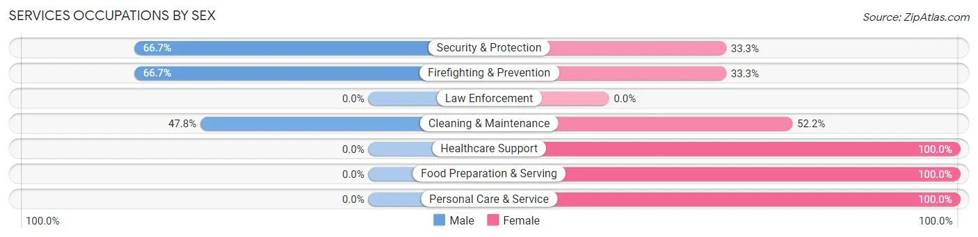 Services Occupations by Sex in Zip Code 55339