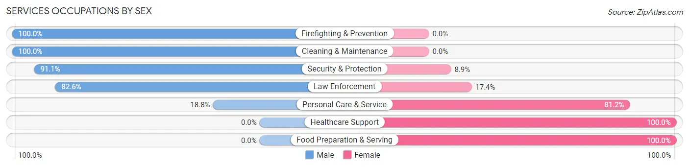 Services Occupations by Sex in Zip Code 55341