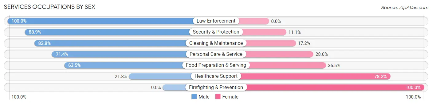 Services Occupations by Sex in Zip Code 55342