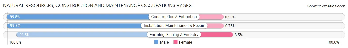 Natural Resources, Construction and Maintenance Occupations by Sex in Zip Code 55350