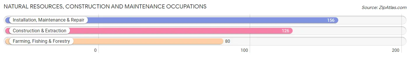 Natural Resources, Construction and Maintenance Occupations in Zip Code 55353