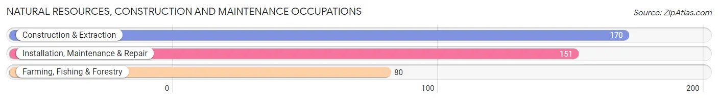 Natural Resources, Construction and Maintenance Occupations in Zip Code 55355