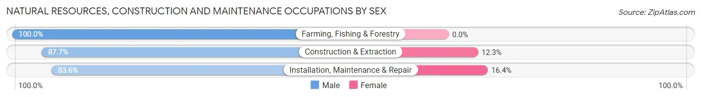 Natural Resources, Construction and Maintenance Occupations by Sex in Zip Code 55364