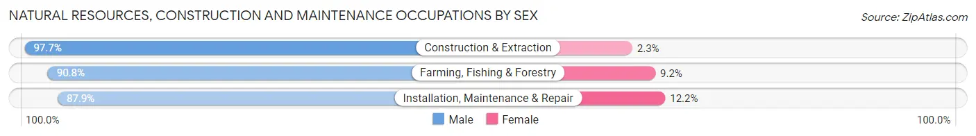 Natural Resources, Construction and Maintenance Occupations by Sex in Zip Code 55371