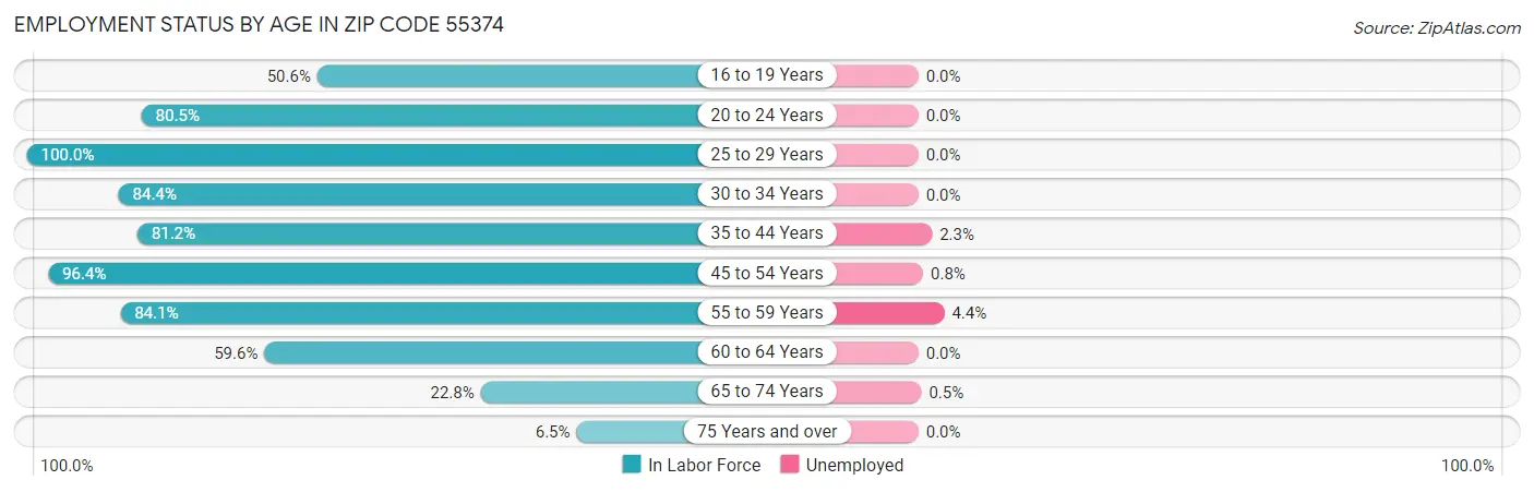 Employment Status by Age in Zip Code 55374