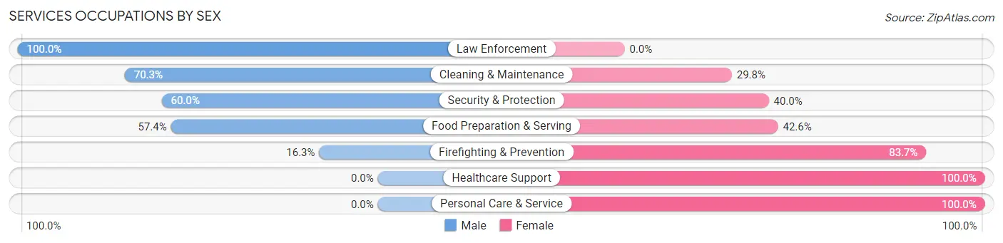 Services Occupations by Sex in Zip Code 55374
