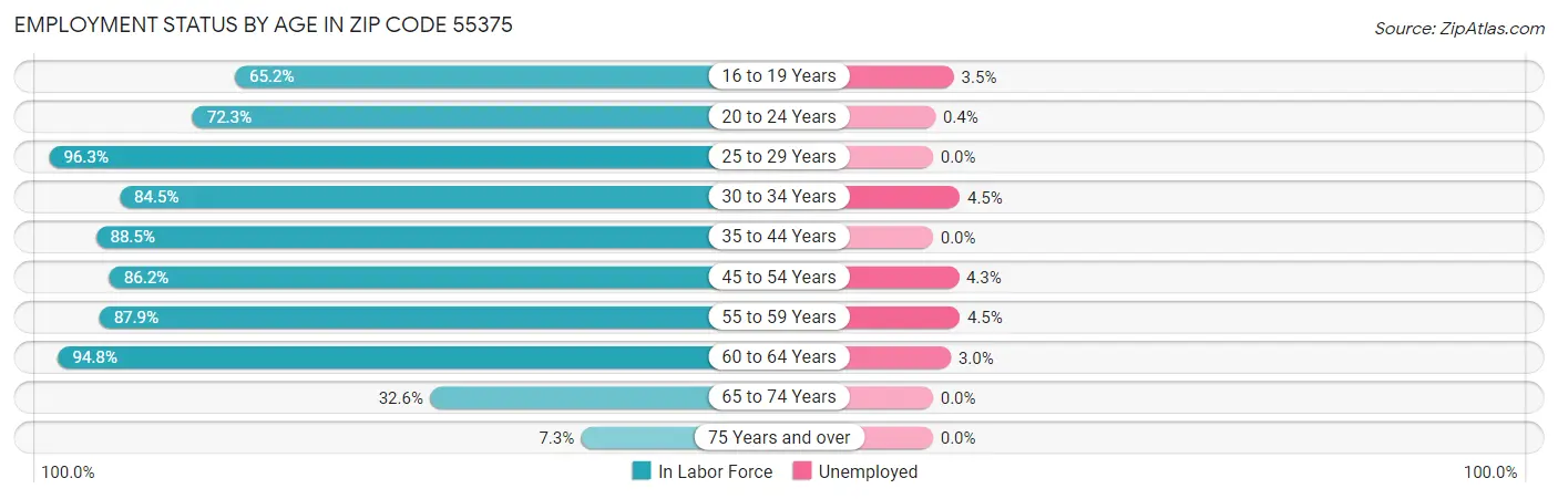 Employment Status by Age in Zip Code 55375