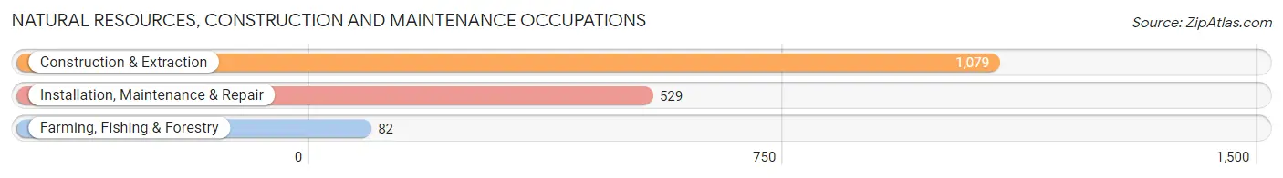 Natural Resources, Construction and Maintenance Occupations in Zip Code 55379