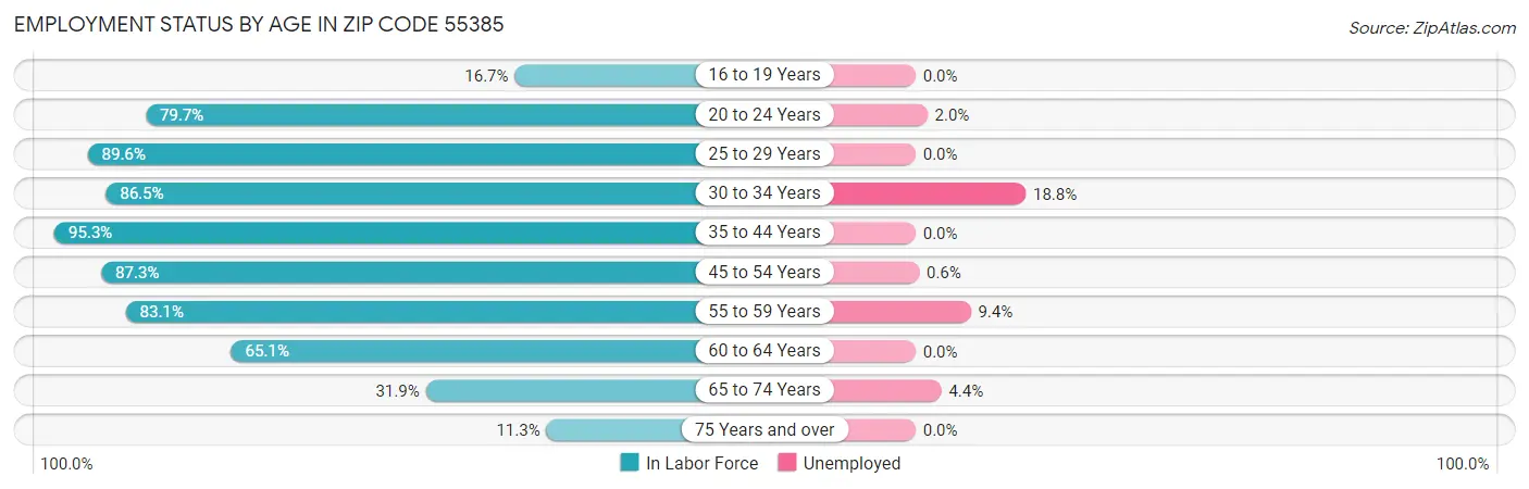 Employment Status by Age in Zip Code 55385