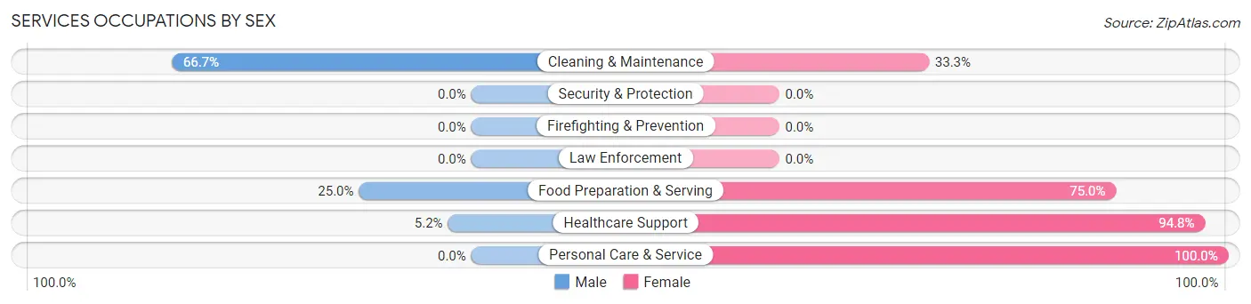 Services Occupations by Sex in Zip Code 55385