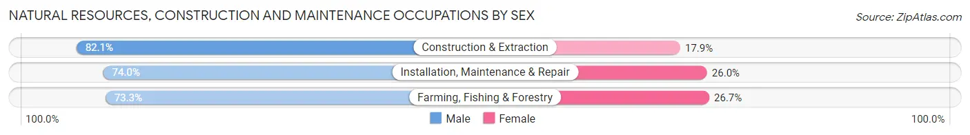Natural Resources, Construction and Maintenance Occupations by Sex in Zip Code 55389