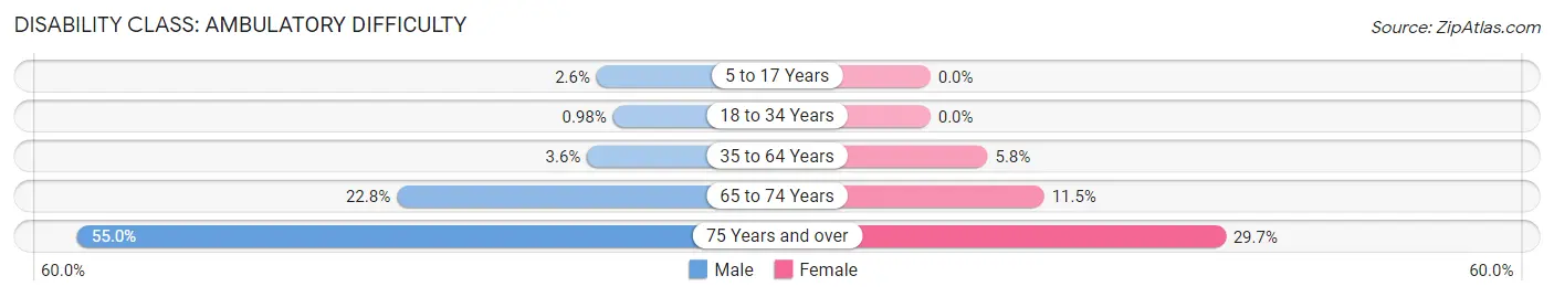 Disability in Zip Code 55395: <span>Ambulatory Difficulty</span>