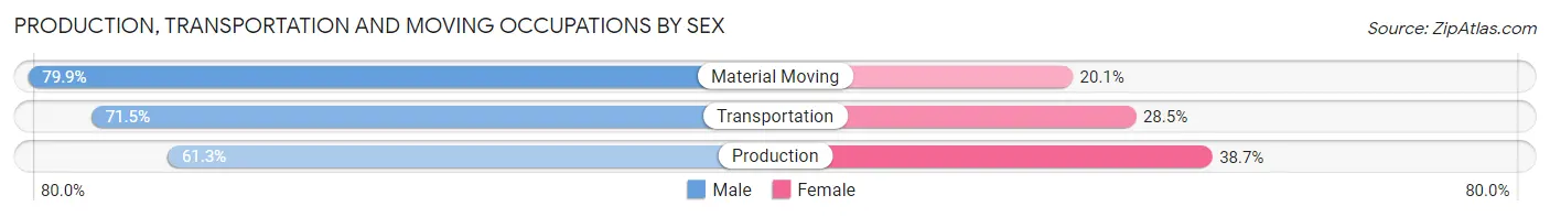 Production, Transportation and Moving Occupations by Sex in Zip Code 55407