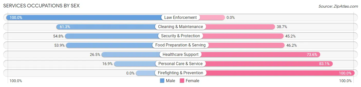 Services Occupations by Sex in Zip Code 55410