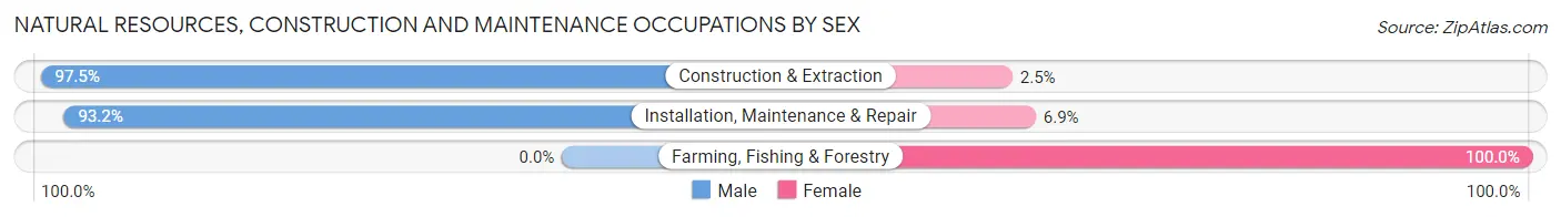 Natural Resources, Construction and Maintenance Occupations by Sex in Zip Code 55412