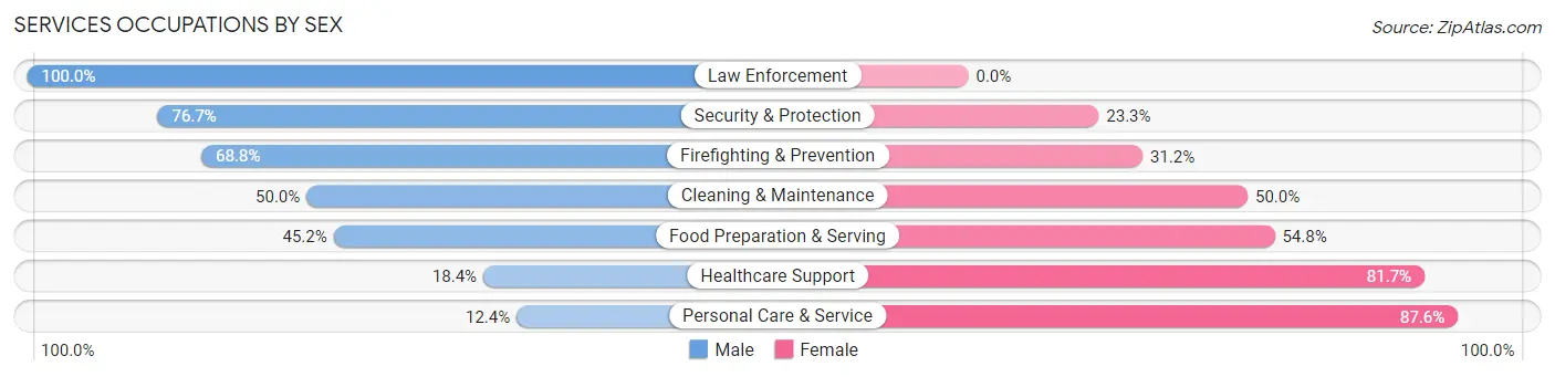 Services Occupations by Sex in Zip Code 55432