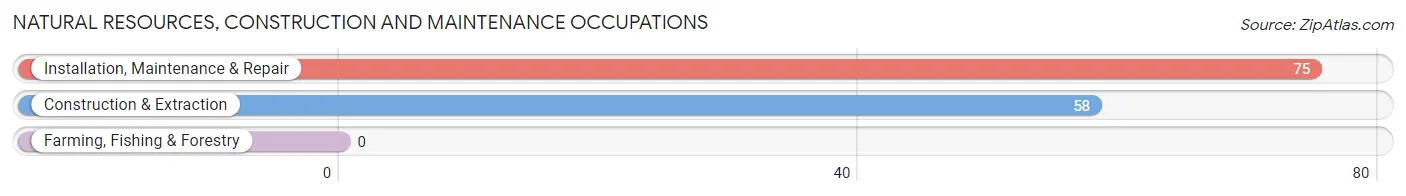 Natural Resources, Construction and Maintenance Occupations in Zip Code 55436