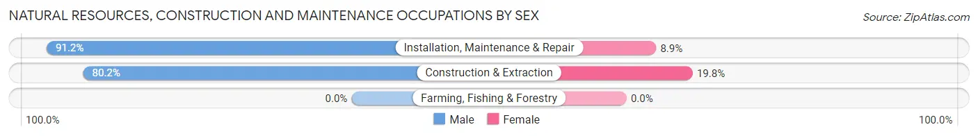 Natural Resources, Construction and Maintenance Occupations by Sex in Zip Code 55445