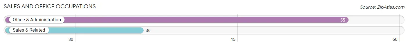 Sales and Office Occupations in Zip Code 55605