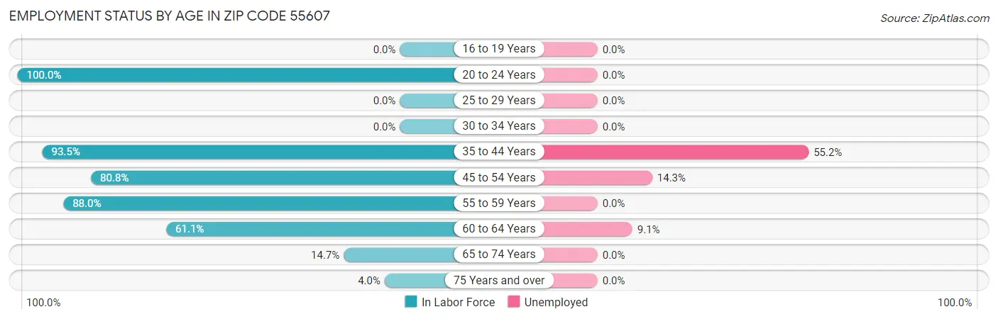 Employment Status by Age in Zip Code 55607