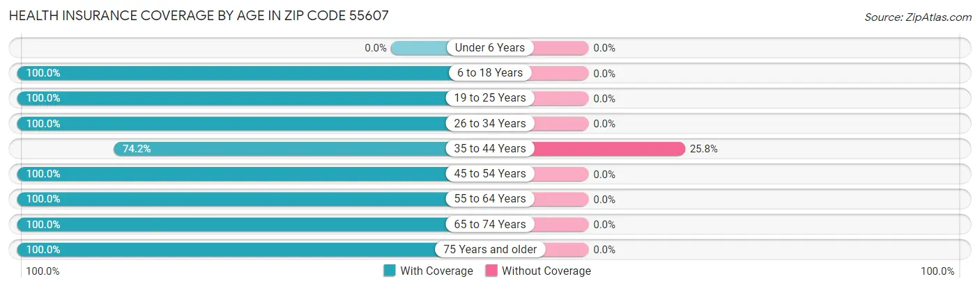 Health Insurance Coverage by Age in Zip Code 55607