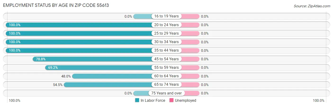 Employment Status by Age in Zip Code 55613