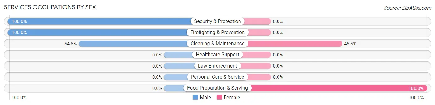 Services Occupations by Sex in Zip Code 55613
