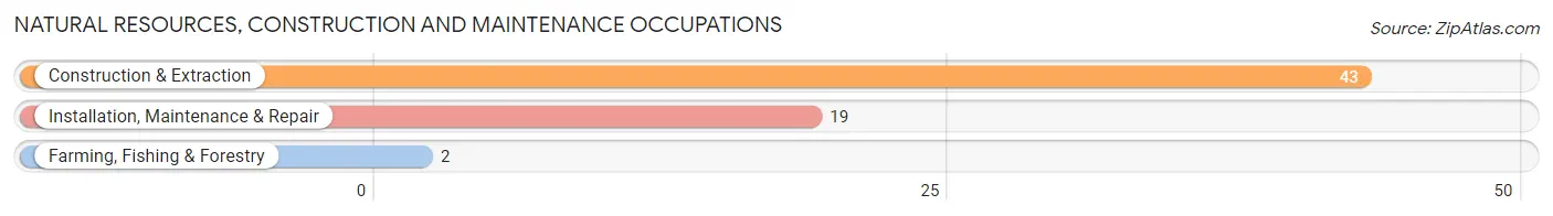 Natural Resources, Construction and Maintenance Occupations in Zip Code 55703