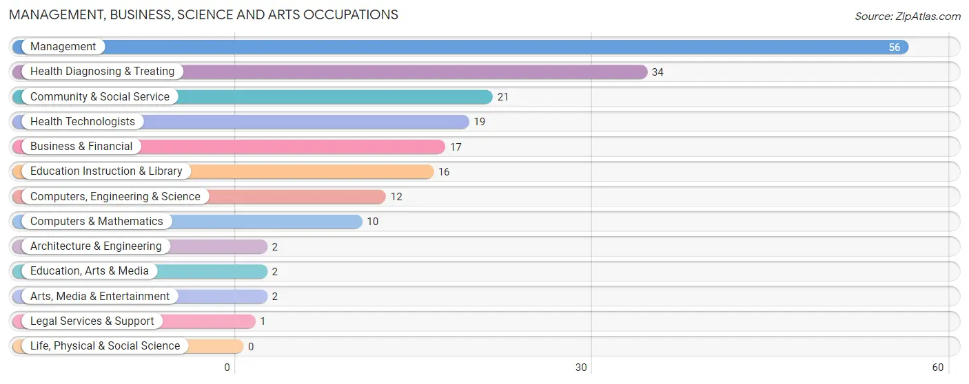 Management, Business, Science and Arts Occupations in Zip Code 55704