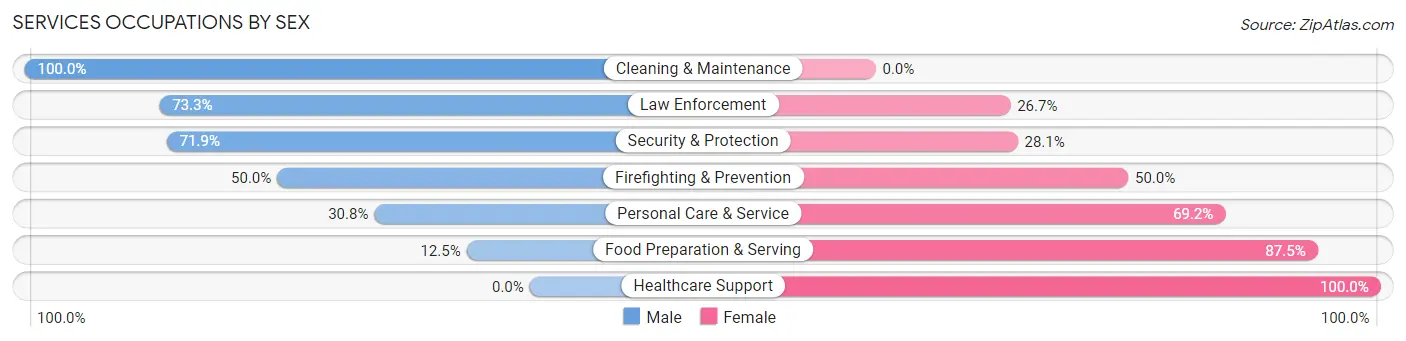 Services Occupations by Sex in Zip Code 55704