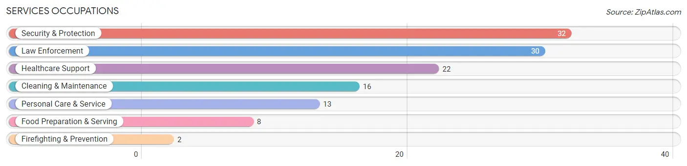 Services Occupations in Zip Code 55704