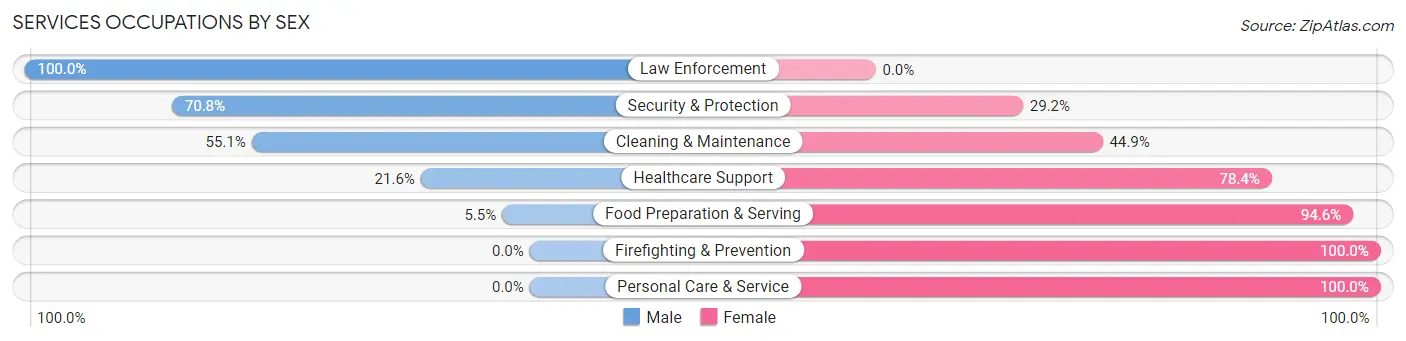 Services Occupations by Sex in Zip Code 55705