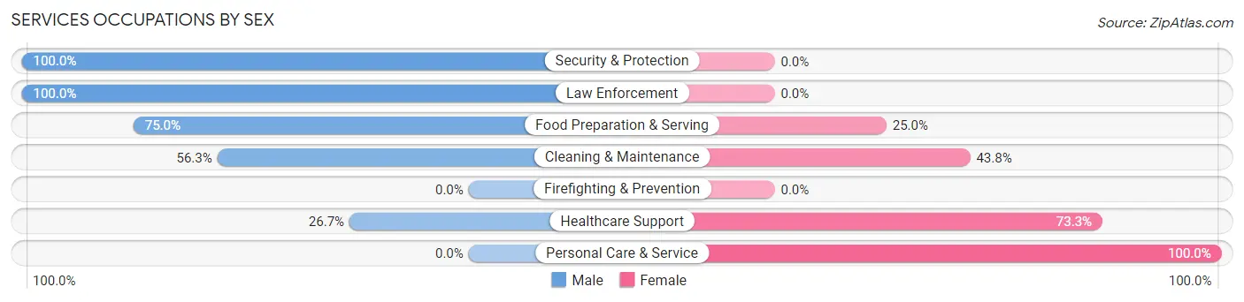 Services Occupations by Sex in Zip Code 55706