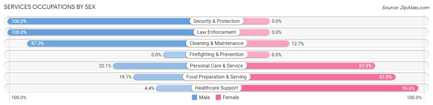 Services Occupations by Sex in Zip Code 55709