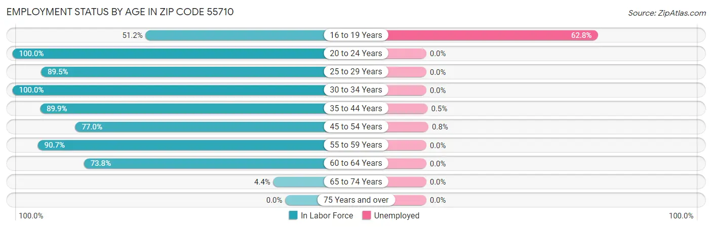 Employment Status by Age in Zip Code 55710
