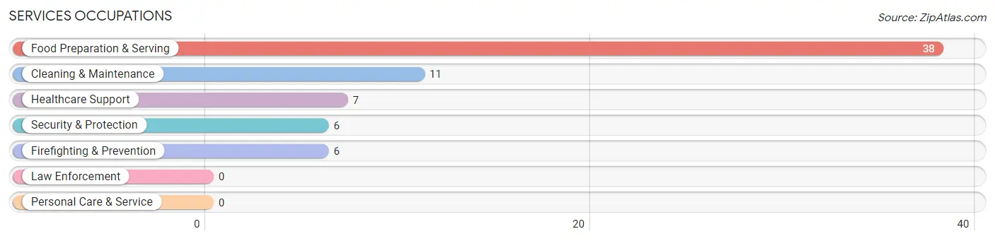 Services Occupations in Zip Code 55710