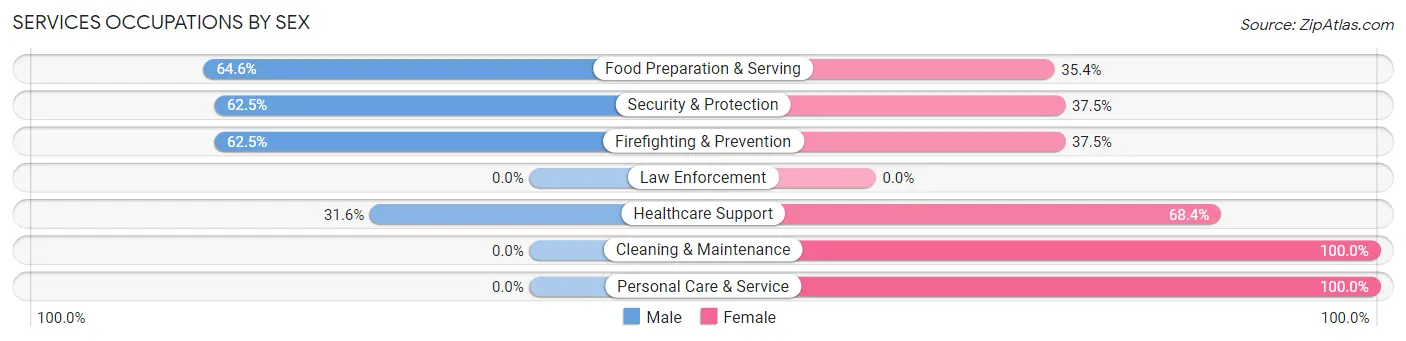 Services Occupations by Sex in Zip Code 55713