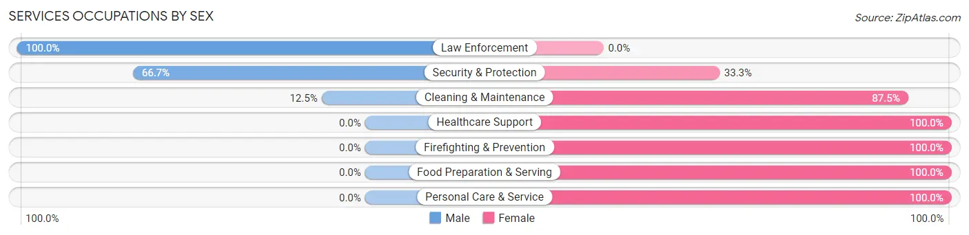 Services Occupations by Sex in Zip Code 55716