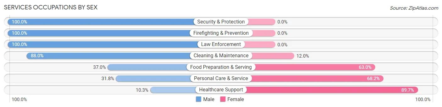 Services Occupations by Sex in Zip Code 55718