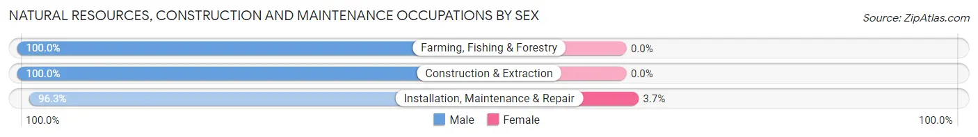 Natural Resources, Construction and Maintenance Occupations by Sex in Zip Code 55719