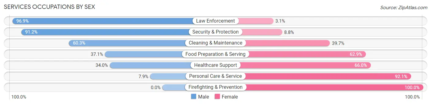 Services Occupations by Sex in Zip Code 55719